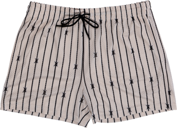 Buy white Retro Mesh Shorts with Liner