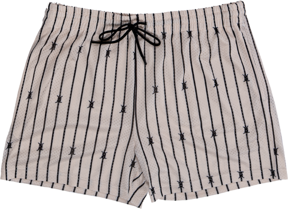 Retro Mesh Shorts with Liner