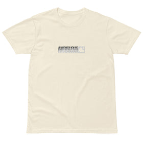 Buy natural AMBIG Ambiguous Box Logo Graphic Tee
